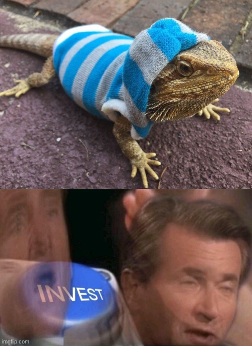i would- | image tagged in invest,funny,lizard,memes | made w/ Imgflip meme maker
