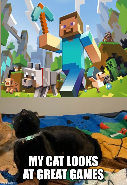 My cat knows what’s good | MY CAT LOOKS AT GREAT GAMES | image tagged in cat,minecraft | made w/ Imgflip meme maker