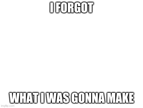 :/ | I FORGOT; WHAT I WAS GONNA MAKE | image tagged in blank white template,idk | made w/ Imgflip meme maker