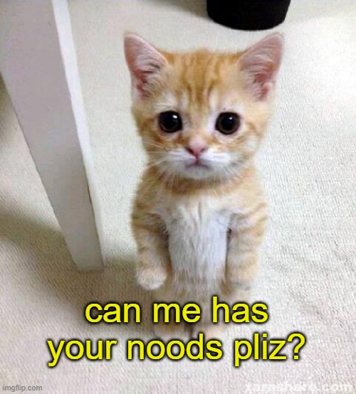 Please? I said the magic word, can I have them now? | can me has your noods pliz? | image tagged in memes,cute cat | made w/ Imgflip meme maker