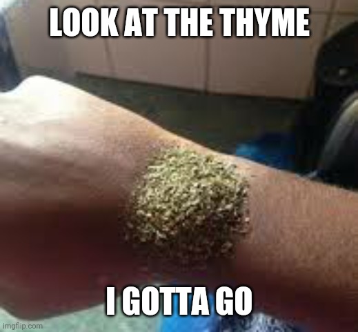 Thyme is running out | LOOK AT THE THYME; I GOTTA GO | image tagged in funny,puns,homonyms,grammar,time | made w/ Imgflip meme maker
