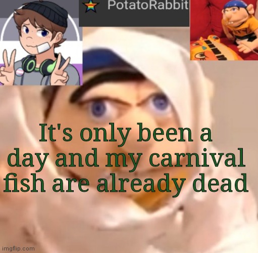 rip | It's only been a day and my carnival fish are already dead | image tagged in potatorabbit announcement template | made w/ Imgflip meme maker
