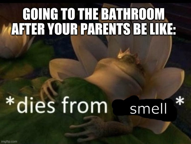 Dies from cringe | GOING TO THE BATHROOM AFTER YOUR PARENTS BE LIKE:; smell | image tagged in dies from cringe | made w/ Imgflip meme maker