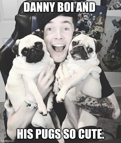 DanTDM and the pugs | DANNY BOI AND; HIS PUGS SO CUTE. | image tagged in dantdm and the pugs | made w/ Imgflip meme maker