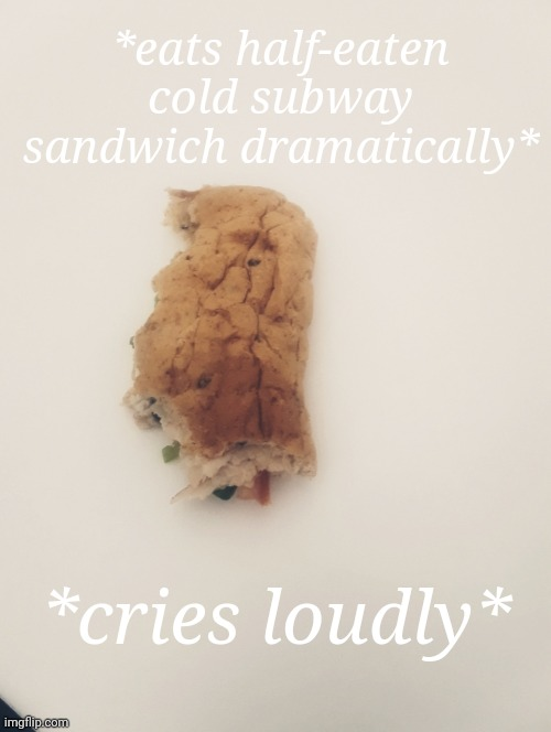 Subway sandwich Blank Meme Template
