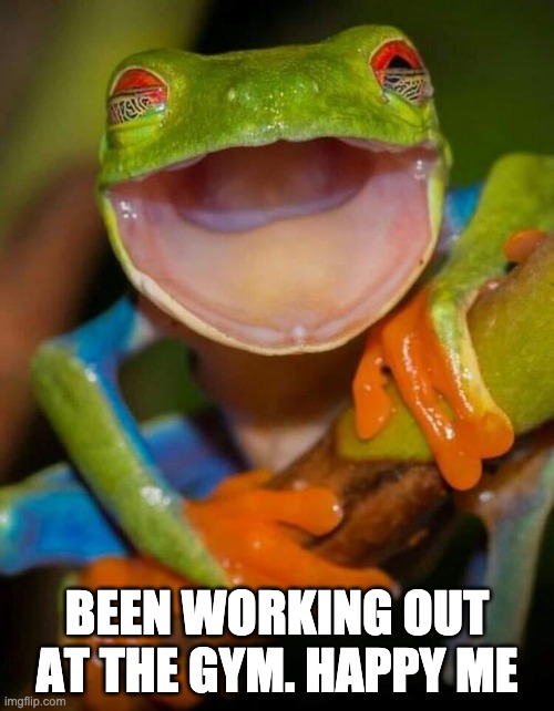 BEEN WORKING OUT AT THE GYM. HAPPY ME | image tagged in gym,be happy,frog,fitness | made w/ Imgflip meme maker