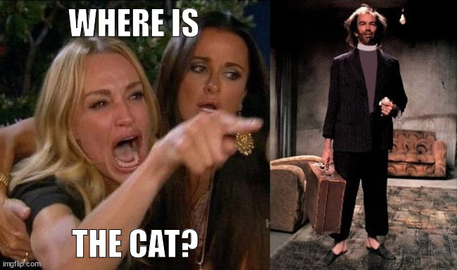 Bad Boy Bubby | WHERE IS; THE CAT? | image tagged in bad boy bubby | made w/ Imgflip meme maker