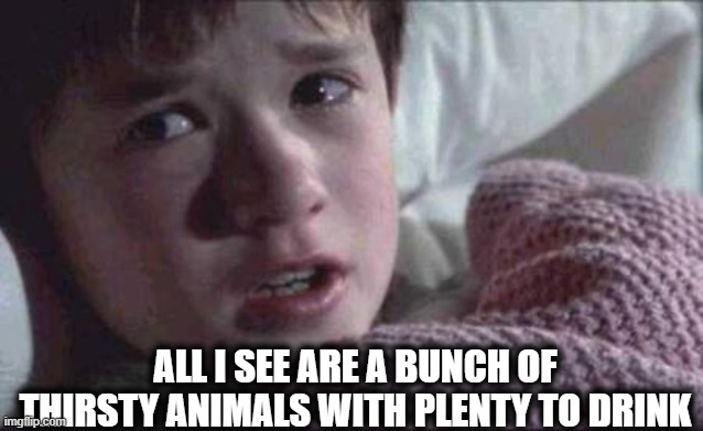 I See Dead People Meme | ALL I SEE ARE A BUNCH OF THIRSTY ANIMALS WITH PLENTY TO DRINK | image tagged in memes,i see dead people | made w/ Imgflip meme maker