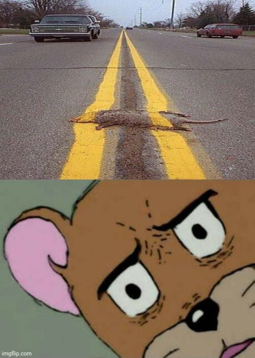 You had one job road: Awww, poor animal | image tagged in unsettled jerry,you had one job,roads,road,memes,animal | made w/ Imgflip meme maker