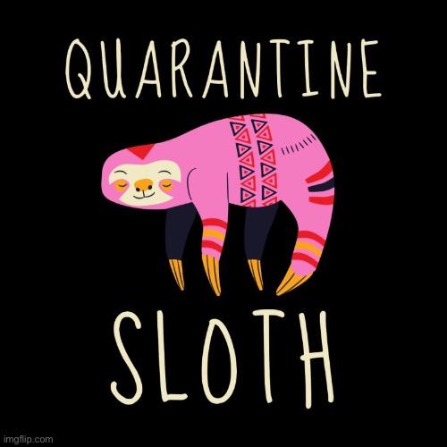 Quarantine sloth | image tagged in quarantine sloth | made w/ Imgflip meme maker