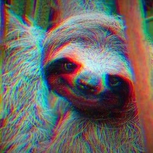 Wacky sloth Blank Meme Template