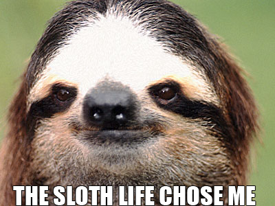 The sloth life chose me Blank Meme Template