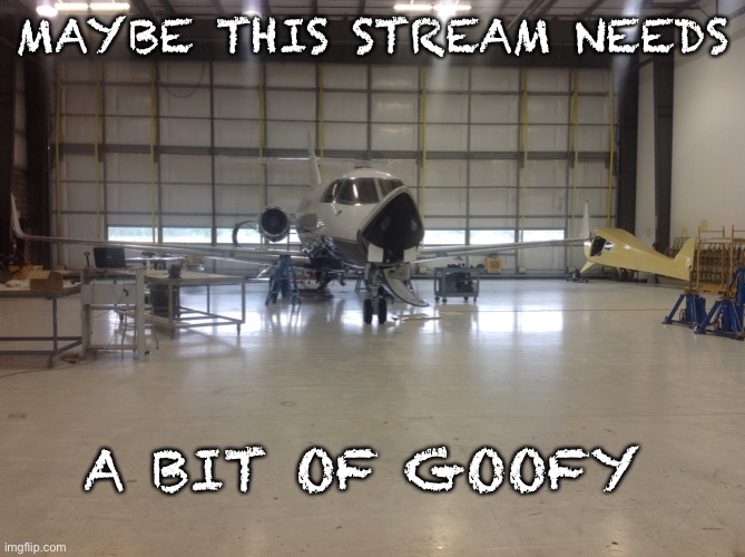 Uh Hyuk |  MAYBE THIS STREAM NEEDS; A BIT OF GOOFY | image tagged in goofy,plane | made w/ Imgflip meme maker