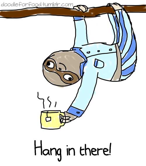 Sloth hang in there Blank Meme Template
