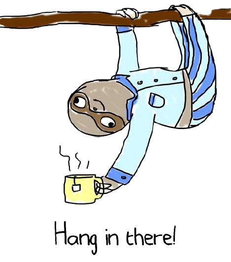 High Quality Sloth hang in there transparent Blank Meme Template