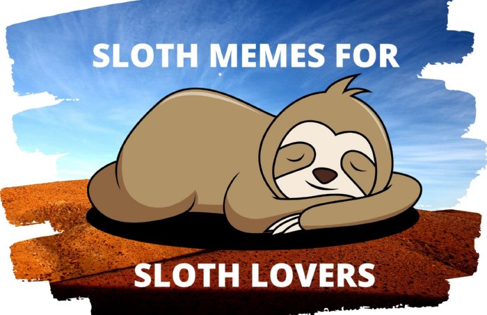 Sloth memes for sloth lovers Blank Meme Template