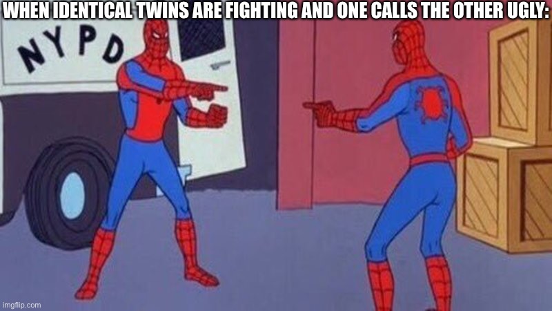 spiderman pointing at spiderman | WHEN IDENTICAL TWINS ARE FIGHTING AND ONE CALLS THE OTHER UGLY: | image tagged in spiderman pointing at spiderman | made w/ Imgflip meme maker