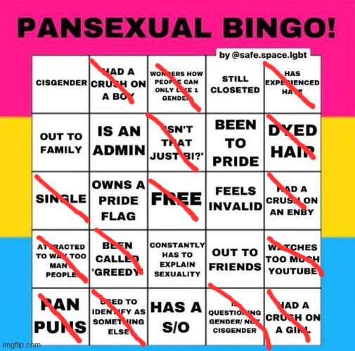 ay i got bingo!! | image tagged in pansexual bingo,lgbtq | made w/ Imgflip meme maker