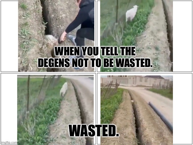 When you tell the degens not to be wasted. | WHEN YOU TELL THE DEGENS NOT TO BE WASTED. WASTED. | image tagged in memes,blank comic panel 2x2 | made w/ Imgflip meme maker