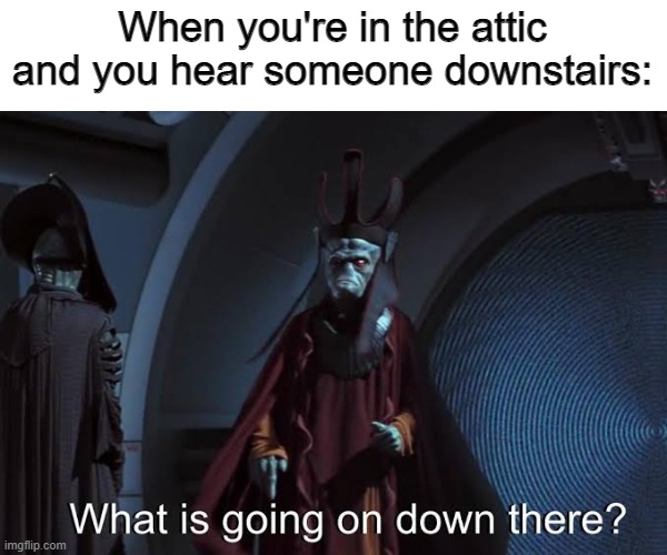 What is going on down there ? | When you're in the attic and you hear someone downstairs: | image tagged in what is going on down there | made w/ Imgflip meme maker