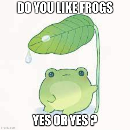 frog | DO YOU LIKE FROGS; YES OR YES ? | image tagged in frog | made w/ Imgflip meme maker