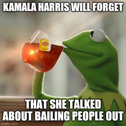 But That's None Of My Business Meme | KAMALA HARRIS WILL FORGET THAT SHE TALKED ABOUT BAILING PEOPLE OUT | image tagged in memes,but that's none of my business,kermit the frog | made w/ Imgflip meme maker