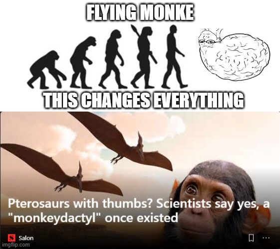 FLYING MONKE; THIS CHANGES EVERYTHING | image tagged in evolution template | made w/ Imgflip meme maker