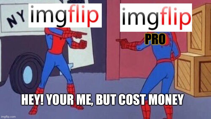 spiderman pointing at spiderman | PRO; HEY! YOUR ME, BUT COST MONEY | image tagged in spiderman pointing at spiderman | made w/ Imgflip meme maker