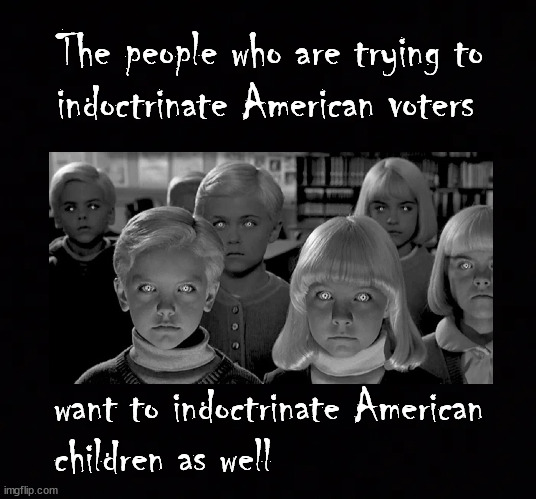 Indoctrination of Americans | The people who are trying to 
indoctrinate American voters; want to indoctrinate American 
children as well | image tagged in politics | made w/ Imgflip meme maker