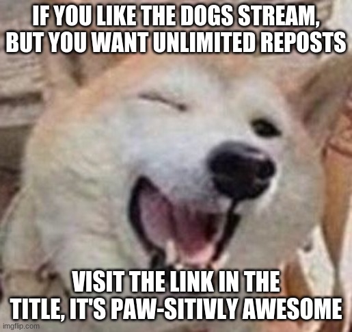 https://imgflip.com/m/Dogs-2?sort=latest | IF YOU LIKE THE DOGS STREAM, BUT YOU WANT UNLIMITED REPOSTS; VISIT THE LINK IN THE TITLE, IT'S PAW-SITIVLY AWESOME | image tagged in doggo | made w/ Imgflip meme maker