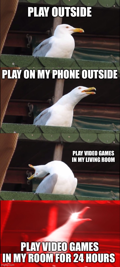 Inhaling Seagull | PLAY OUTSIDE; PLAY ON MY PHONE OUTSIDE; PLAY VIDEO GAMES IN MY LIVING ROOM; PLAY VIDEO GAMES IN MY ROOM FOR 24 HOURS | image tagged in memes,inhaling seagull | made w/ Imgflip meme maker