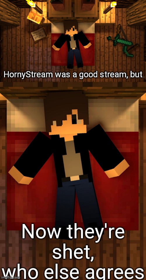 They know their TOS anarchy real well, too well actually | HornyStream was a good stream, but; Now they're shet, who else agrees | image tagged in chrom ender sleeping | made w/ Imgflip meme maker