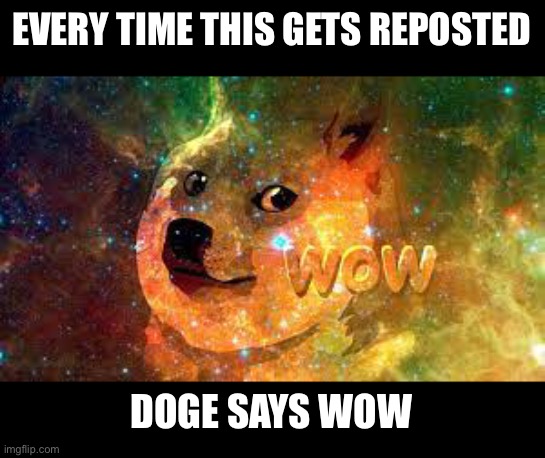 EVERY TIME THIS GETS REPOSTED; DOGE SAYS WOW | made w/ Imgflip meme maker