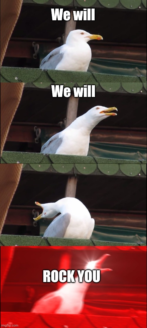 Inhaling Seagull | We will; We will; ROCK YOU | image tagged in memes,inhaling seagull | made w/ Imgflip meme maker