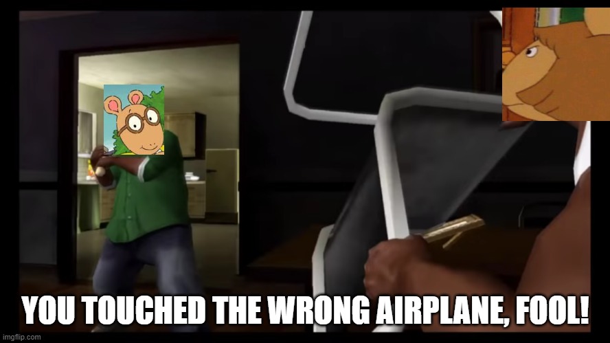 i ToLd yOu NoT tO tOuCH iT | YOU TOUCHED THE WRONG AIRPLANE, FOOL! | image tagged in you picked the wrong house fool,gta san andreas,dw,arthur | made w/ Imgflip meme maker
