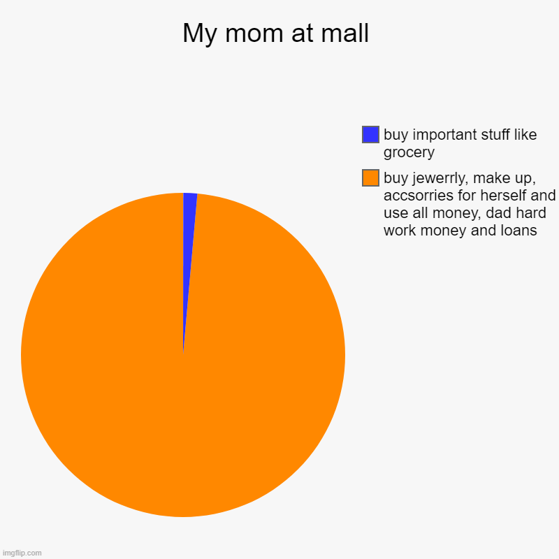 My mom at mall | buy jewerrly, make up, accsorries for herself and use all money, dad hard work money and loans, buy important stuff like gr | image tagged in charts,pie charts | made w/ Imgflip chart maker