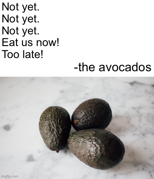 You’ll have to settle for guacamole because you waited too long. | Not yet.
Not yet.
Not yet.
Eat us now!
Too late! -the avocados | image tagged in funny memes,avocado | made w/ Imgflip meme maker