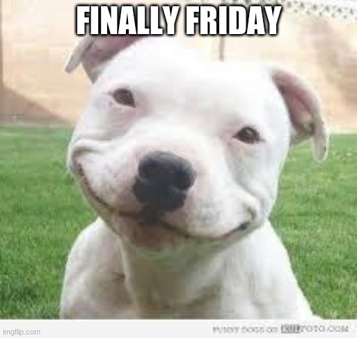 Happy Friday Puppy | FINALLY FRIDAY | image tagged in happy friday puppy | made w/ Imgflip meme maker