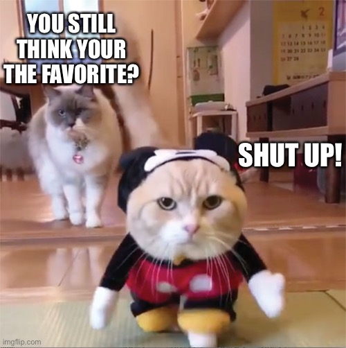 mickey mouse cat house | YOU STILL THINK YOUR THE FAVORITE? SHUT UP! | image tagged in mickey mouse cat house | made w/ Imgflip meme maker