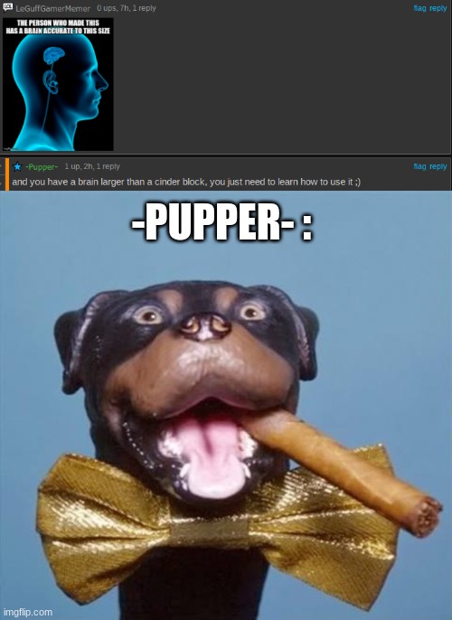 -PUPPER- : | image tagged in triumph the insult comic dog | made w/ Imgflip meme maker