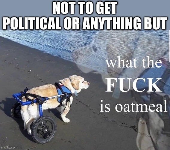What the f**k is oatmeal | NOT TO GET POLITICAL OR ANYTHING BUT | image tagged in what the f k is oatmeal | made w/ Imgflip meme maker