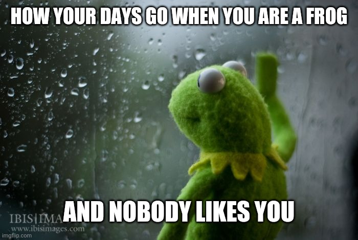 kermit window | HOW YOUR DAYS GO WHEN YOU ARE A FROG AND NOBODY LIKES YOU | image tagged in kermit window | made w/ Imgflip meme maker