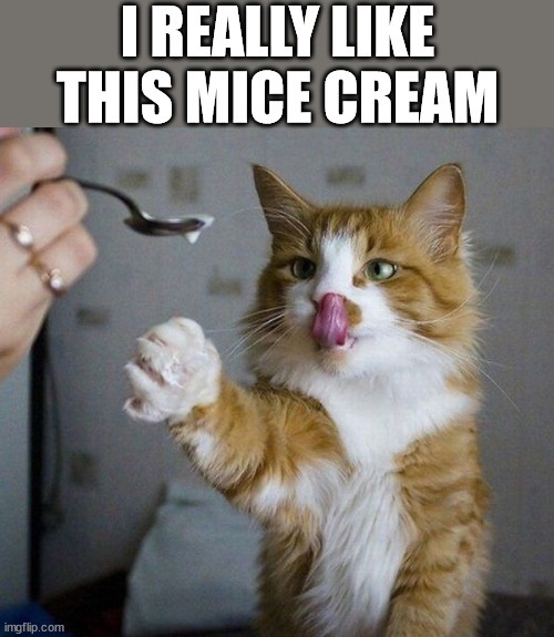 I REALLY LIKE THIS MICE CREAM | image tagged in cats | made w/ Imgflip meme maker