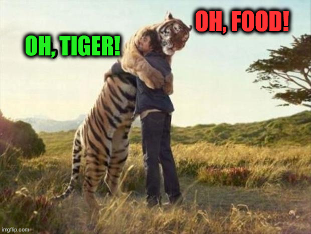 OH, FOOD! OH, TIGER! | image tagged in cats | made w/ Imgflip meme maker
