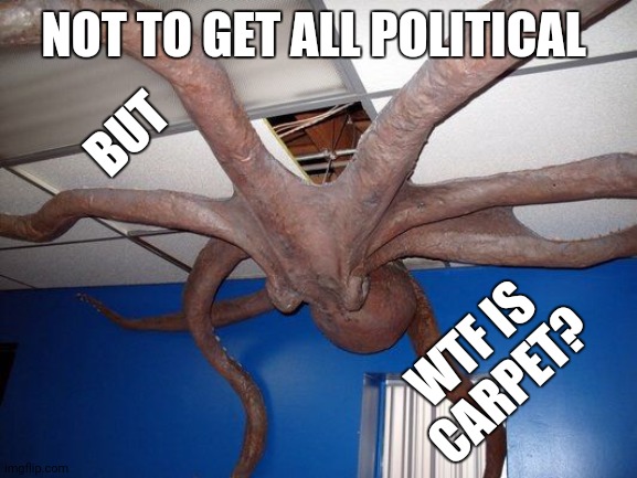 Carrpppet? wta is it? wil i evr no? | NOT TO GET ALL POLITICAL; BUT; WTF IS CARPET? | image tagged in scary octopus,political meme | made w/ Imgflip meme maker