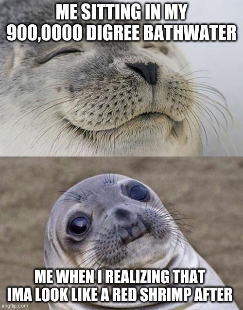 Short Satisfaction VS Truth Meme | ME SITTING IN MY 900,0000 DIGREE BATHWATER; ME WHEN I REALIZING THAT IMA LOOK LIKE A RED SHRIMP AFTER | image tagged in memes,short satisfaction vs truth | made w/ Imgflip meme maker