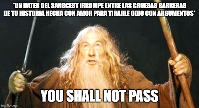 you shall not pass | *UN HATER DEL SANSCEST IRRUMPE ENTRE LAS GRUESAS BARRERAS DE TU HISTORIA HECHA CON AMOR PARA TIRARLE ODIO CON ARGUMENTOS*; YOU SHALL NOT PASS | image tagged in you shall not pass | made w/ Imgflip meme maker