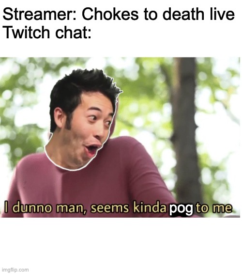 Pog moment | Streamer: Chokes to death live
Twitch chat:; pog | image tagged in i dunno man seems kinda gay to me | made w/ Imgflip meme maker