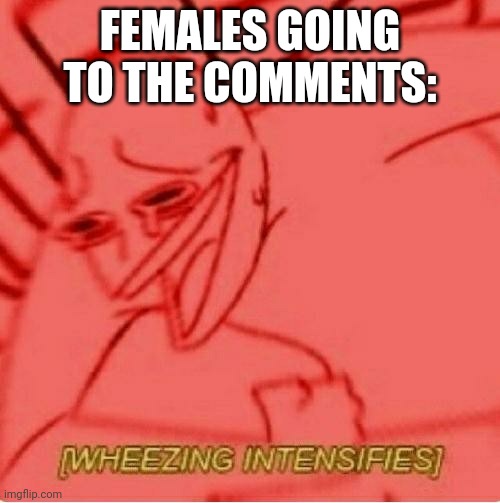 Wheeze | FEMALES GOING TO THE COMMENTS: | image tagged in wheeze | made w/ Imgflip meme maker
