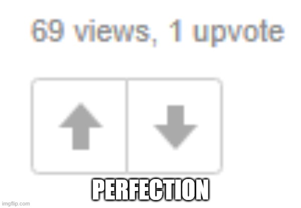 perfection | PERFECTION | image tagged in 69 | made w/ Imgflip meme maker